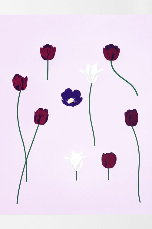 tulip-group