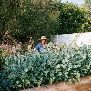 Edible Gardens LA